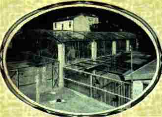 Loges des animaux